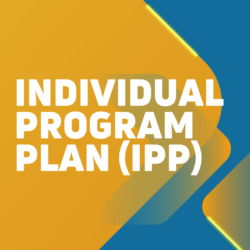 Have You Shared Your IPP Feedback Yet?