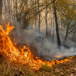 Be Alert:  Fire Weather Conditions Are Here