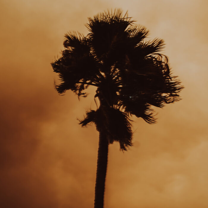 Together with the Community: Supporting Hundreds of Individuals and Families impacted by the 2025 Eaton Fire